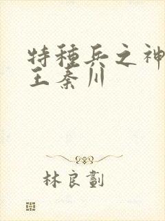 特种兵之神级兵王秦川