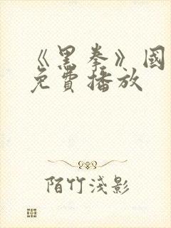 《黑拳》国语版免费播放