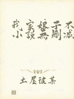我家娘子不对劲小说无删减