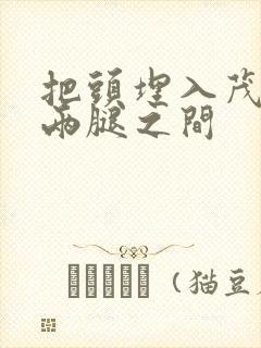 把头埋入茂密的两腿之间封面