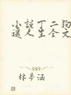 小说丁二狗的逍遥人生全文免费阅读