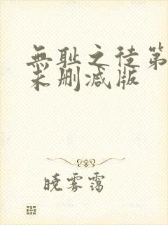 无耻之徒第9季未删减版