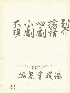 不小心捡到爱电视剧剧情介绍