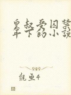 皇叔受囚禁生子年下的小说叫什么