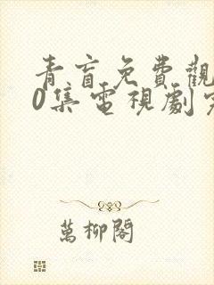 青盲免费观看50集电视剧完整版星辰封面