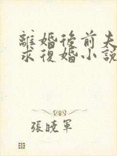 离婚后前夫哭着求复婚小说免费完本