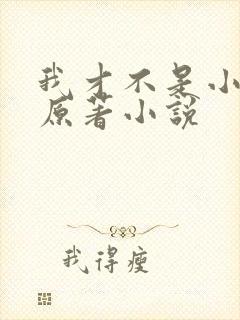 我才不是小可怜原著小说封面