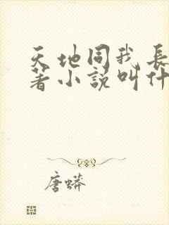 天地同我长生原著小说叫什么