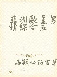 亚洲欧美另类激情综合区