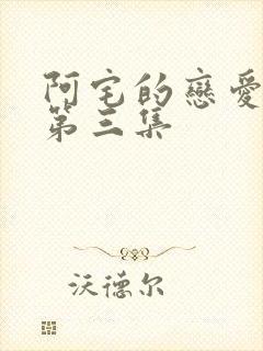 阿宅的恋爱真难第三集封面