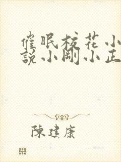 催眠校花小柔小说小刚小正