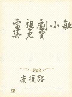 电视剧小敏家全集免费