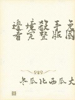 边境杀手免费观看完整版国语高清