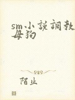 sm小说调教小母狗