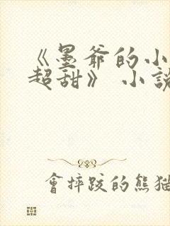 《墨爷的小萌妻超甜》 小说