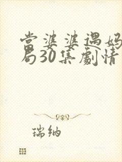 当婆婆遇妈大结局30集剧情