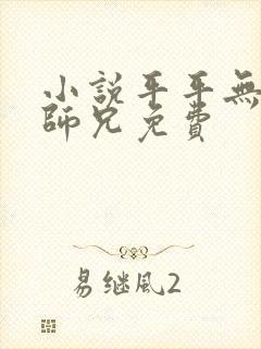 小说平平无奇大师兄免费封面