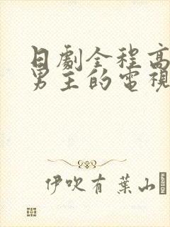 日剧全程高能双男主的电视剧封面