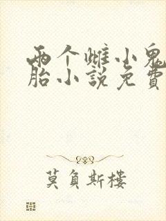 两个雌小鬼双胞胎小说免费阅读