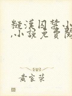 糙汉囚禁小美人,小说免费阅读