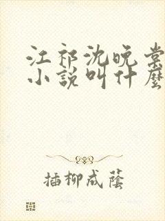 江祁沈晚棠原著小说叫什么