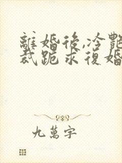 离婚后,冷艳总裁跪求复婚