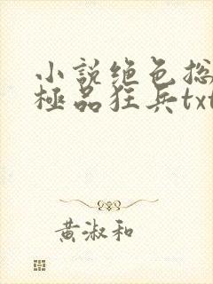 小说绝色总裁的极品狂兵txt下载