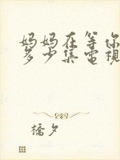 妈妈在等你一共多少集电视剧封面