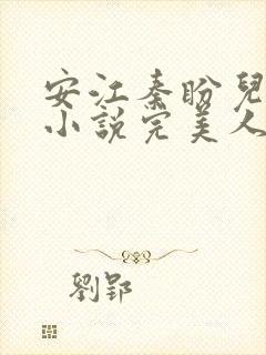 安江秦盼儿官场小说完美人生