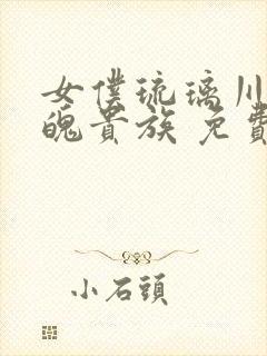 女仆琉璃川 落魄贵族 免费高清全集