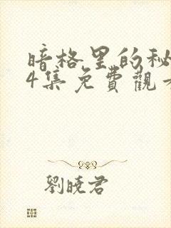 暗格里的秘密24集免费观看电视剧封面