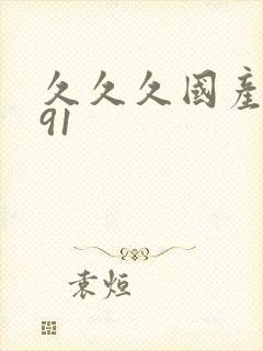 久久久国产精品91