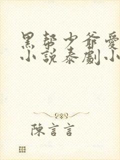 黑帮少爷爱上我小说泰剧小说