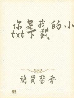 你是我的小确幸txt下载封面
