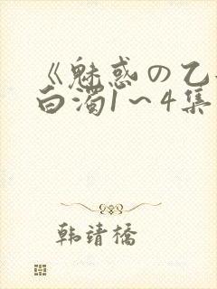 《魅惑の乙女と白浊1～4集》封面