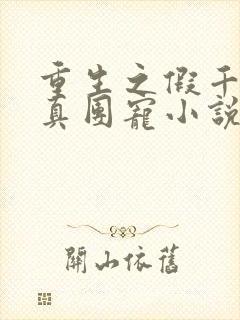 重生之假千金是真团宠小说封面