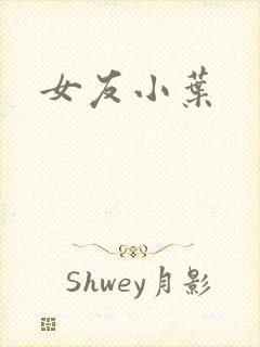 女友小叶