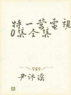 特一营电视剧40集全集封面