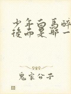 少年白马醉春风后面是哪一部