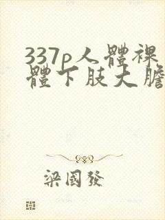 337p人体裸体下肢大胆开瓣免费视频