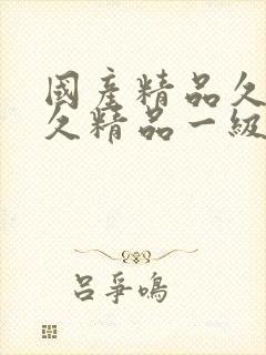 国产精品久久久久精品一级a