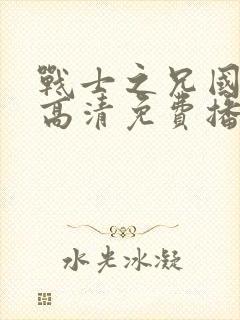 战士之兄国语版高清免费播放