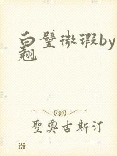 白璧微瑕by连翘