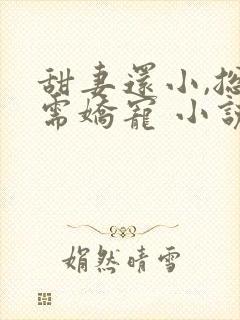 甜妻还小,总裁需娇宠 小说