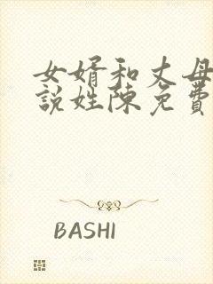 女婿和丈母娘小说姓陈免费阅读封面