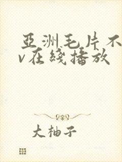 亚洲毛片不卡av在线播放