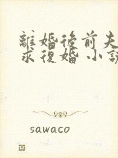 离婚后前夫哭着求复婚 小说阅读