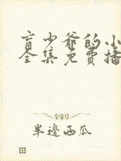 盲少爷的小女仆全集免费播放