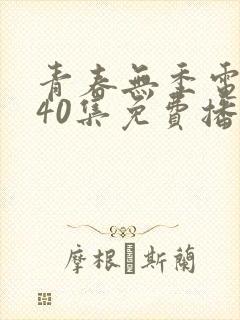 青春无季电视剧40集免费播放