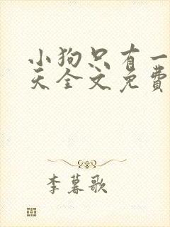 小狗只有一个夏天全文免费阅读